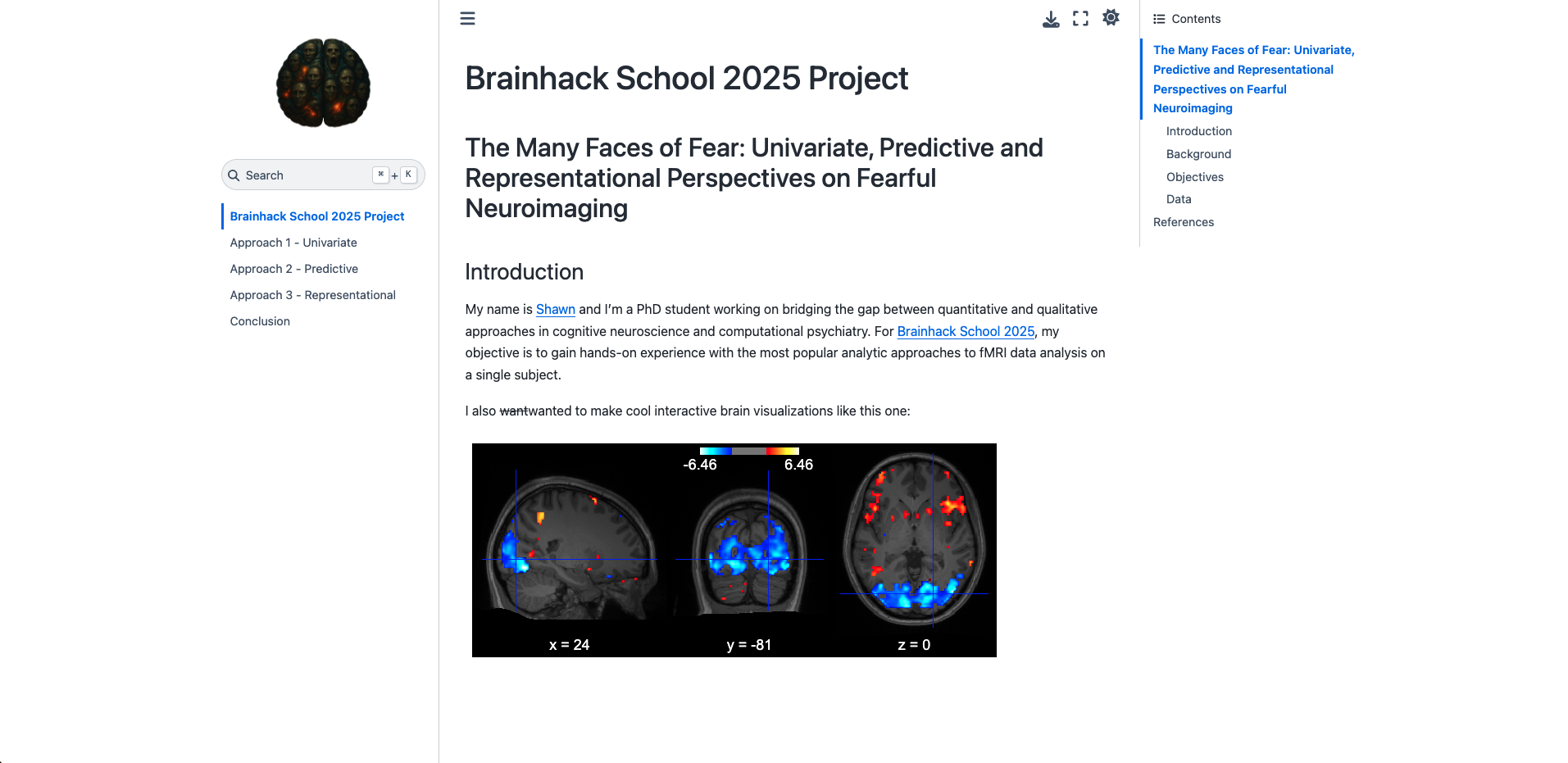 Brainhack School 2025 Project